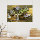 Frog entlang des Buffalo River, Mile 126 auf der Poster (Küche)