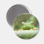 Frog Eyes Magnet (Vorderseite/Rückseite)