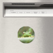 Frog Eyes Magnet (In Situ (Geschirrspüler))