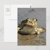 Frog Foto Postcard Postkarte (Vorne/Hinten)