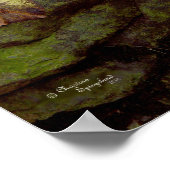 Frog Hangout Poster (Ecke)