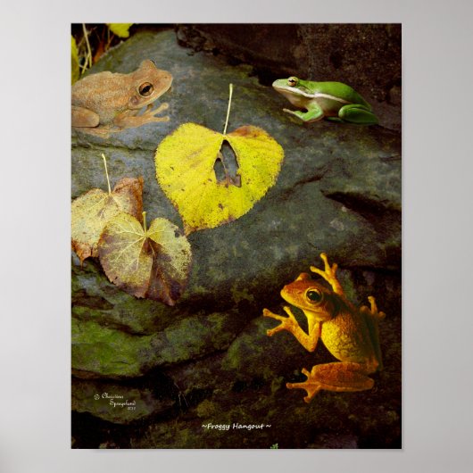 Frog Hangout Poster (Vorne)