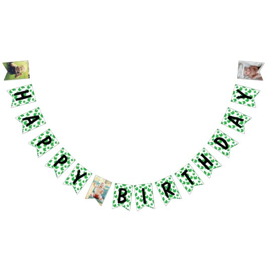 Frog Happy Birthday Wimpelkette (Alle)