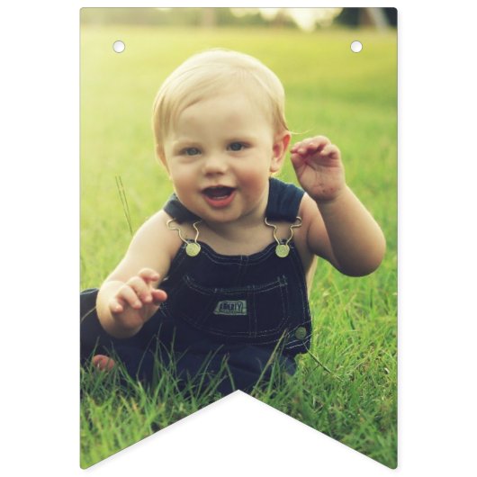 Frog Happy Birthday Wimpelkette (Erste Fahne)