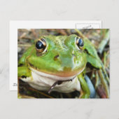 Frog Images Postcard Postkarte (Vorne/Hinten)