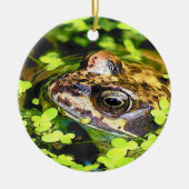 FROG KERAMIK ORNAMENT (Vorne)