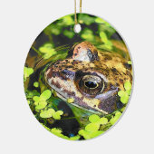 FROG KERAMIK ORNAMENT (Links)
