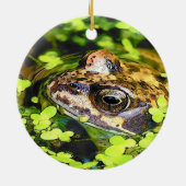 FROG KERAMIK ORNAMENT (Hinten)