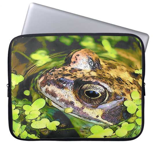 FROG LAPTOPSCHUTZHÜLLE (Vorderseite)