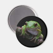 Frog Magnet (Vorderseite/Rückseite)
