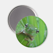 Frog Magnet (Vorderseite/Rückseite)