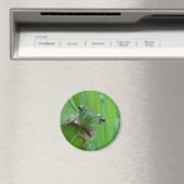Frog Magnet (In Situ (Geschirrspüler))