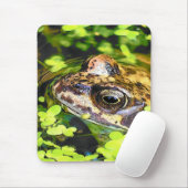 FROG MOUSEPAD (Mit Mouse)