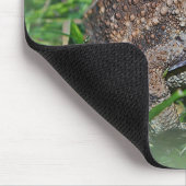 Frog Mousepad (Ecke)