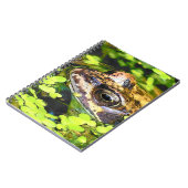 FROG NOTIZBLOCK (Linke Seite)