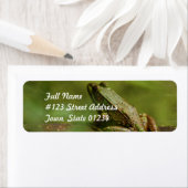Frog on Log Mailing Labels (Insitu)