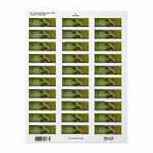 Frog on Log Mailing Labels (Vorne)