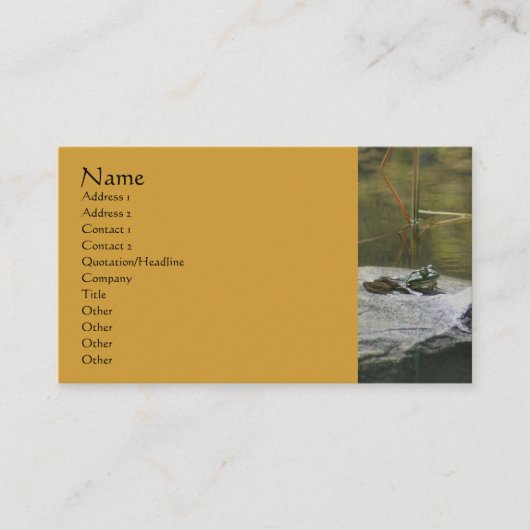 Frog on Rock Nature Fotografy Business Card Visitenkarte (Vorderseite)