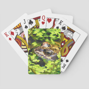 FROG PLAYCARDS SPIELKARTEN