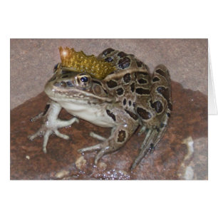 Frog Prince