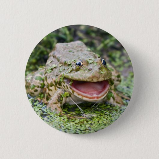Frog Prince Abzeichen Button (Vorderseite)