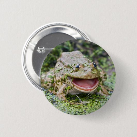 Frog Prince Abzeichen Button (Vorne & Hinten)