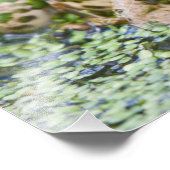Frog Prince Fotodruck (Ecke)