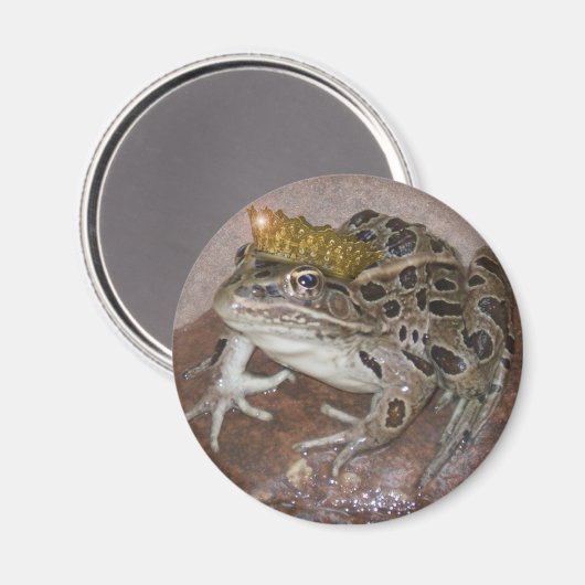 Frog Prince Magnet (Vorderseite/Rückseite)