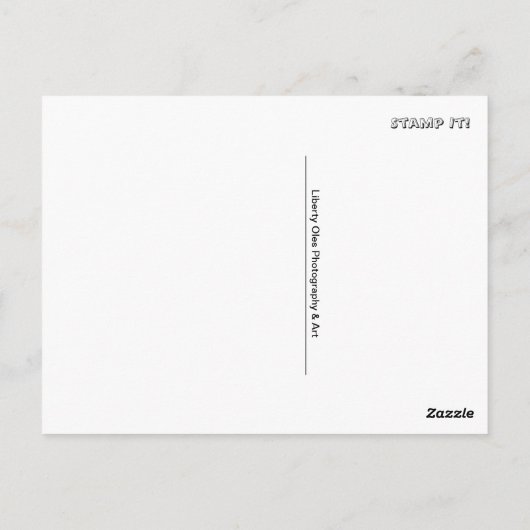 Frog Prince Postkarte (Rückseite)