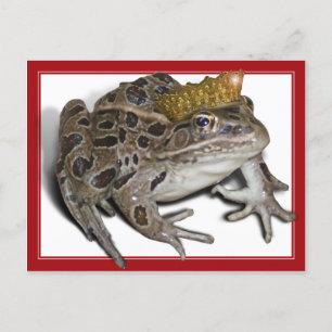 Frog Prince (Text hinzufügen) Postkarte