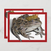 Frog Prince (Text hinzufügen) Postkarte (Vorne/Hinten)
