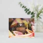 Frog Princess Postkarte (Stehend Vorderseite)