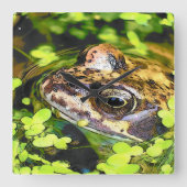 FROG QUADRATISCHE WANDUHR (Vorderseite)