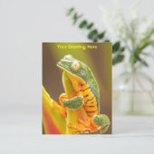 Frog | Tiger Leg Monkey Tree Frog Personalisiert Postkarte (Stehend Vorderseite)
