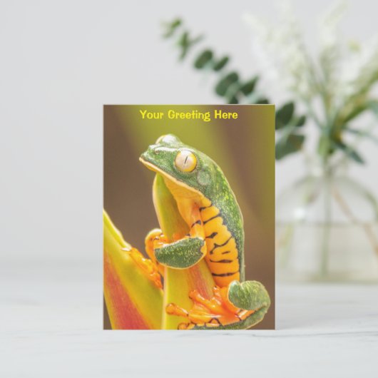 Frog | Tiger Leg Monkey Tree Frog Personalisiert Postkarte (Stehend Vorderseite)