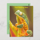 Frog | Tiger Leg Monkey Tree Frog Personalisiert Postkarte (Vorne/Hinten)