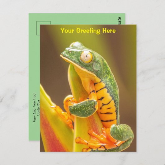 Frog | Tiger Leg Monkey Tree Frog Personalisiert Postkarte (Vorne/Hinten)