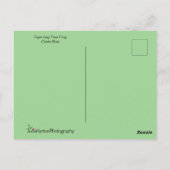 Frog | Tiger Leg Monkey Tree Frog Personalisiert Postkarte (Rückseite)