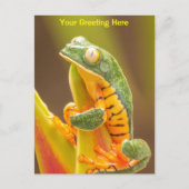 Frog | Tiger Leg Monkey Tree Frog Personalisiert Postkarte (Vorderseite)