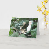 Frog TitterTatter anpassen Karte (Gelbe Blume)
