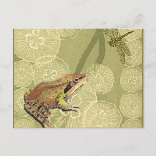 Frog und Dragonfly auf Water Lilies Postkarte (Vorderseite)