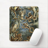 Frog und Toad Ernst Haeckel Vintag Mousepad (Mit Mouse)