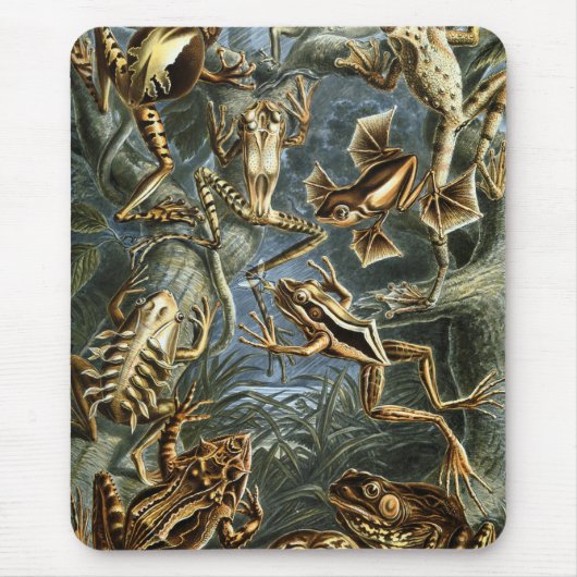 Frog und Toad Ernst Haeckel Vintag Mousepad (Vorne)