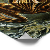 Frog und Toad Ernst Haeckel Vintag Poster (Ecke)