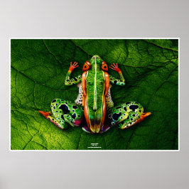 Frog von Johannes Stötter Poster