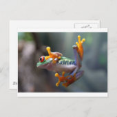 Frog von John Remar Jr. Postkarte (Vorne/Hinten)