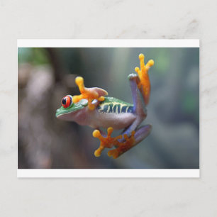 Frog von John Remar Jr. Postkarte