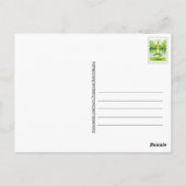 Frog Yoga Postcard Postkarte (Rückseite)