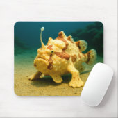 Frogfish & Furious Mousepad (Mit Mouse)
