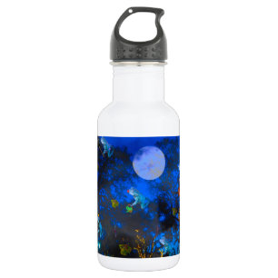 Froggie Nacht Edelstahlflasche